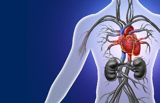 Cardiovascular Disease: The World's Biggest Killer. How Can a Plant-Based Diet Help?