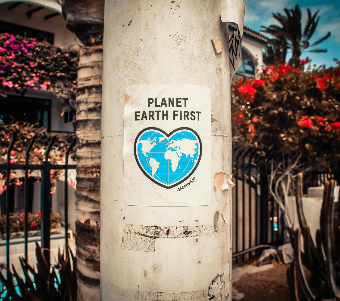 The Evolution of Plant-Based Eating in the UK