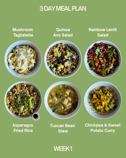 3 Day Meal Plan (6 meals)