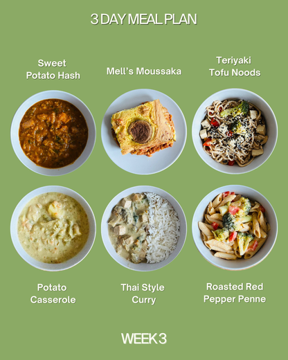 3 Day Meal Plan (6 meals)